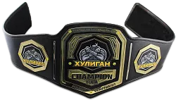Пояс чемпионский для единоборств